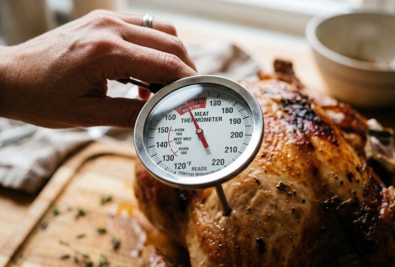 How to Read a Meat Thermometer